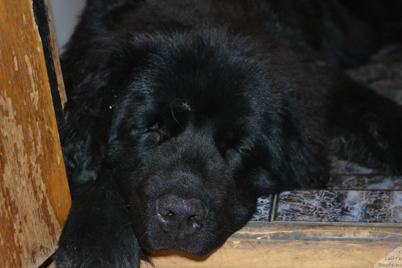 Фотография № 138466