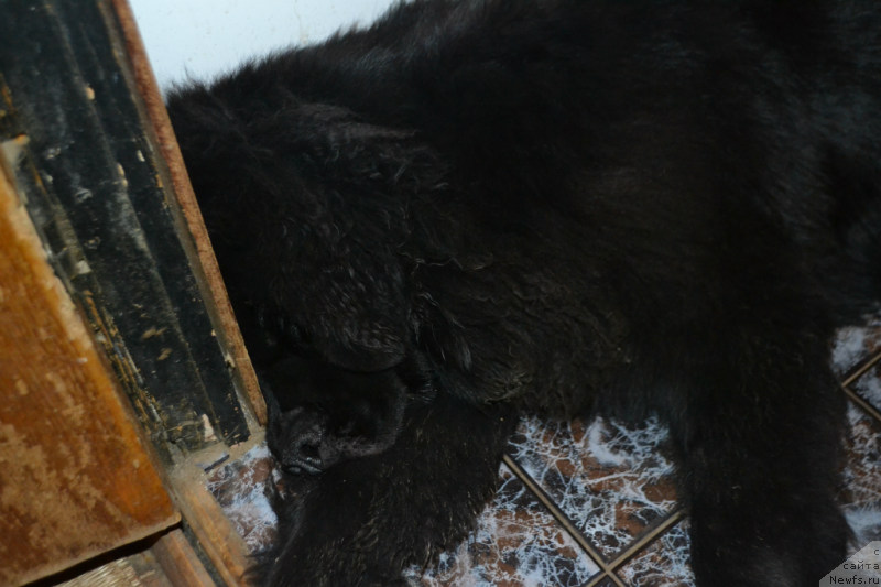 Фотография № 138467