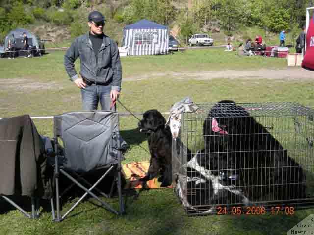 Фотография № 13847