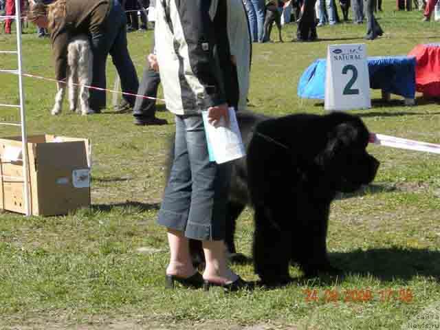 Фотография № 13848