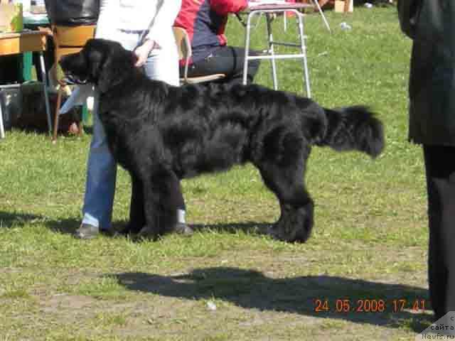 Фотография № 13850