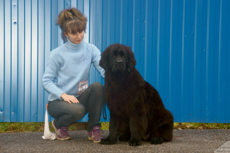 Фотография № 138505