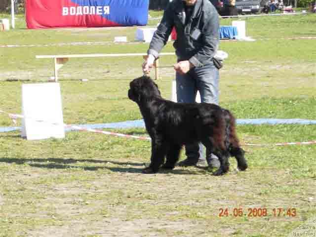 Фотография № 13851