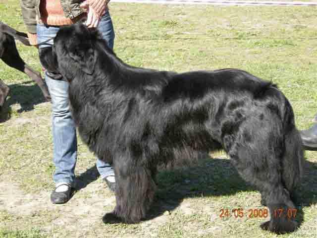 Фотография № 13852