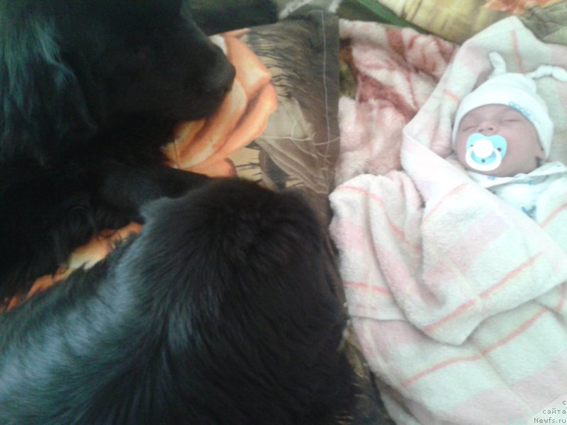 Фотография № 138521