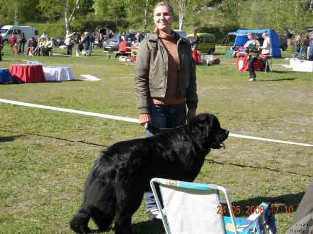 Фотография № 13853