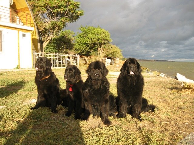 Фотография № 138554