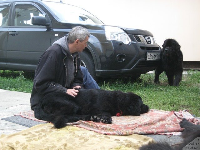 Фотография № 138555