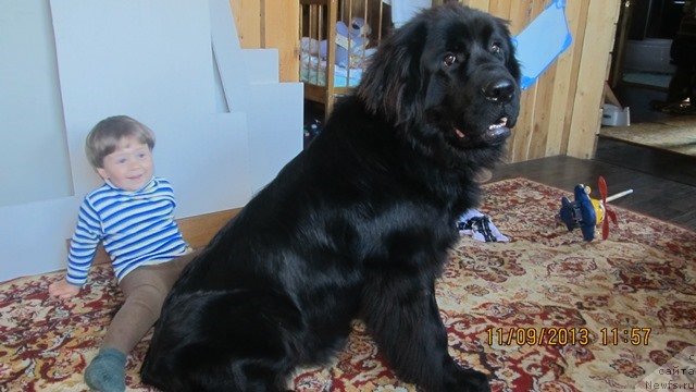 Фотография № 138556