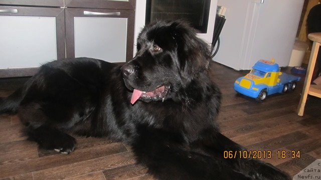 Фотография № 138557