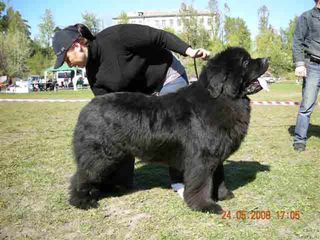 Фотография № 13856