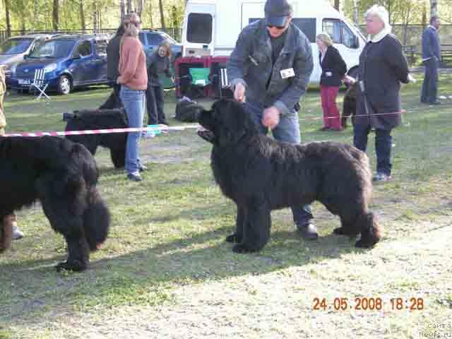 Фотография № 13858