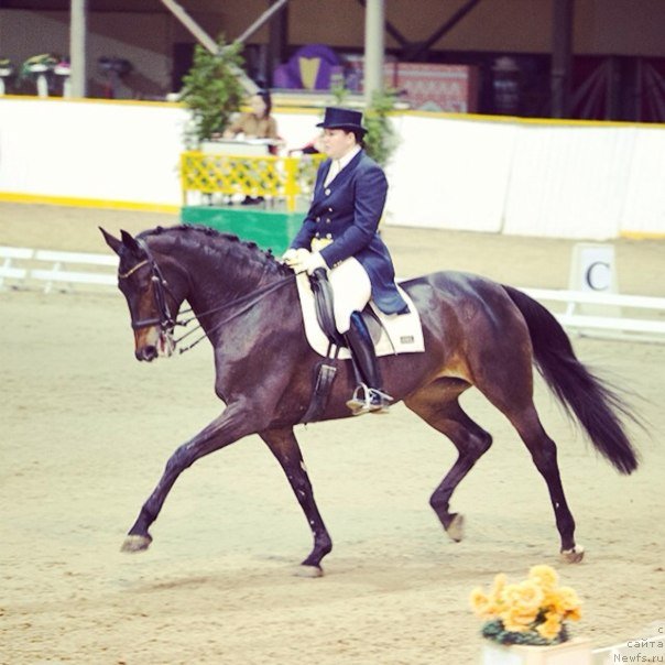 Фотография № 138586