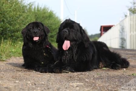 Фотография № 138591