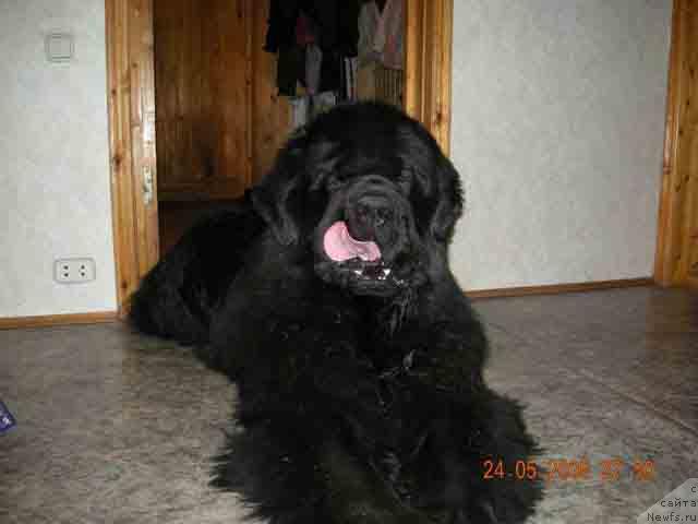 Фотография № 13862