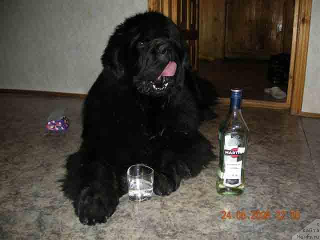 Фотография № 13864