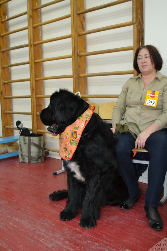 Фотография № 138694