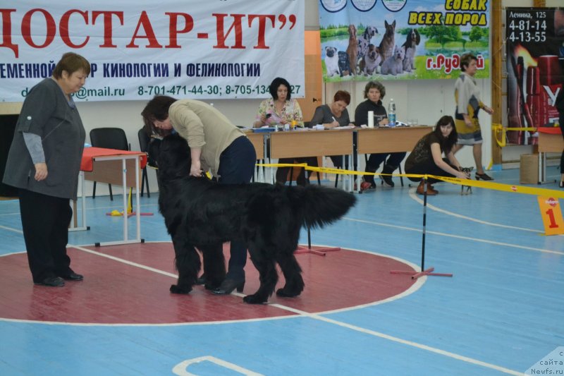 Фотография № 138699