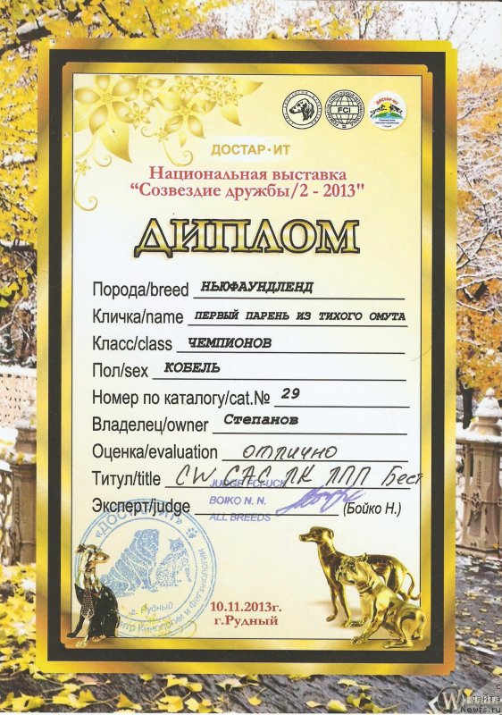 Фотография № 138704