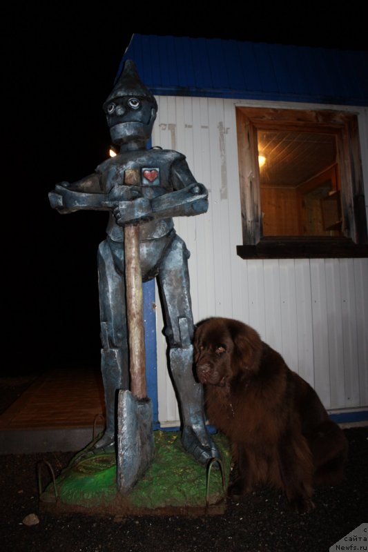 Фотография № 138723