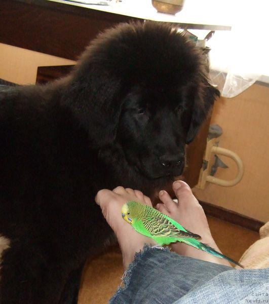 Фотография № 13873