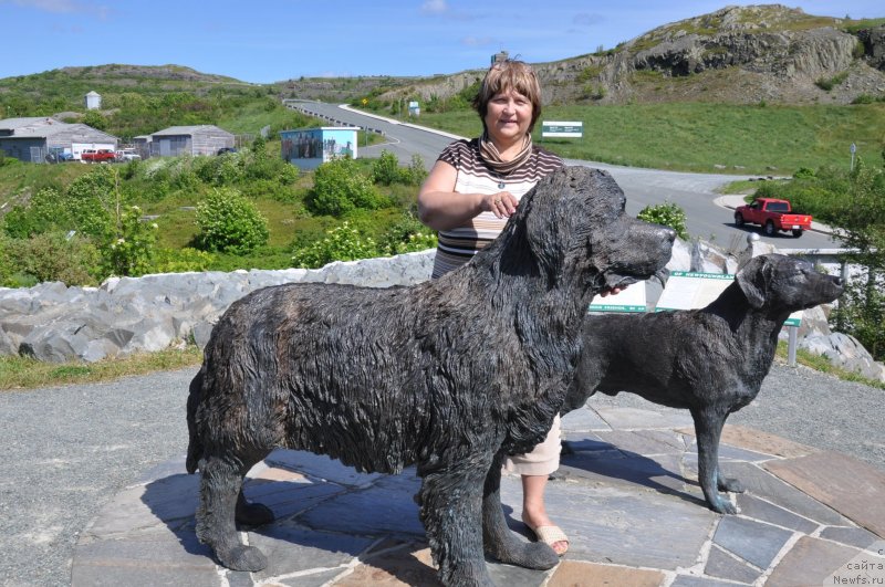 Фотография № 138776