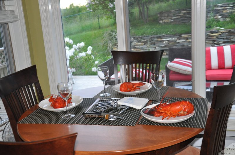 Фотография № 138778