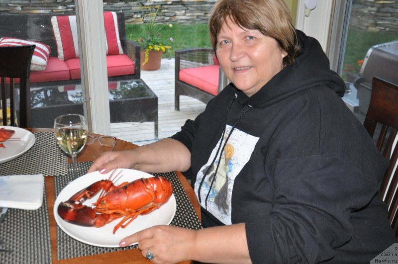 Фотография № 138779