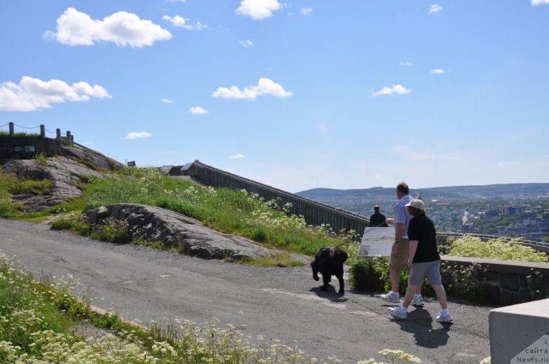 Фотография № 138780