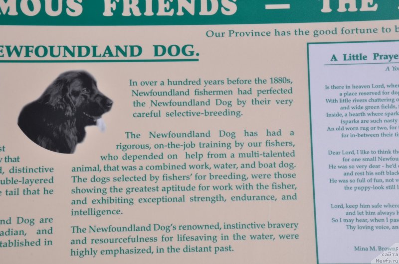 Фотография № 138781