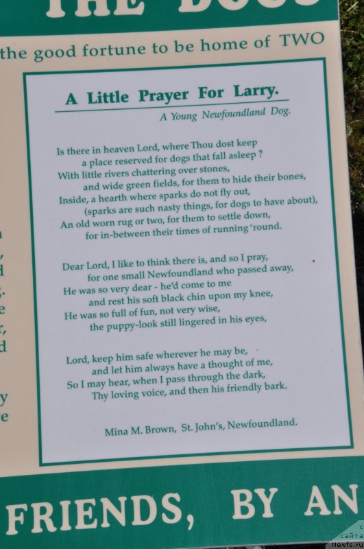 Фотография № 138785