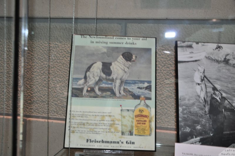 Фотография № 138789