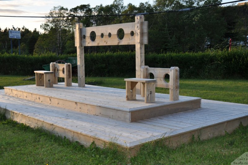 Фотография № 138808