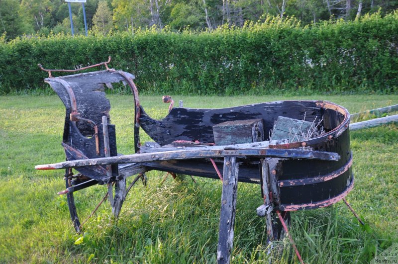 Фотография № 138810