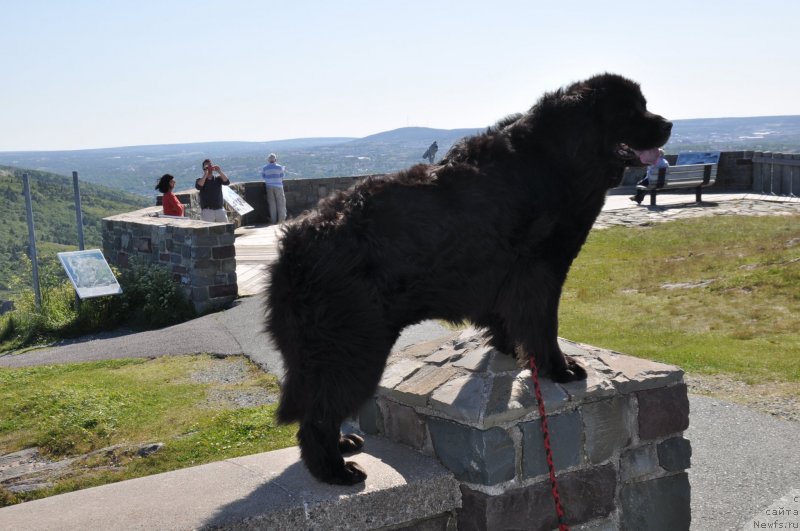 Фотография № 138815