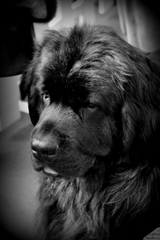 Фотография № 138845