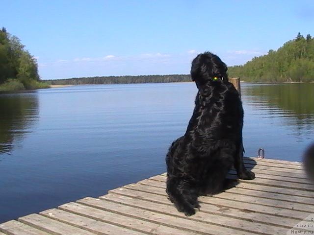 Фотография № 13885