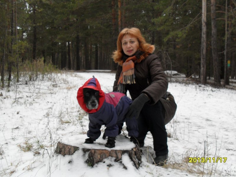 Фото: Ася - наша с Дашей любимица, Татьяна Пойдина