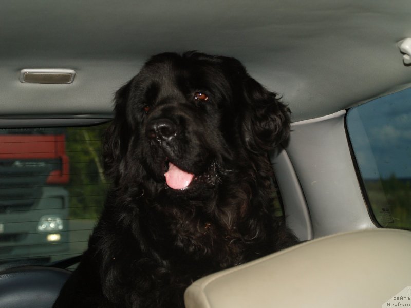 Фотография № 138947