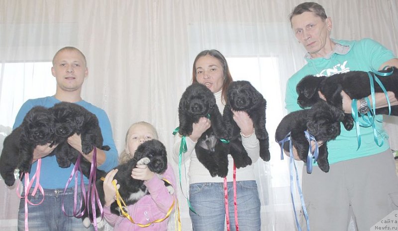 Фото: ньюфаундленд Дар Свезы Юника Сагитта (Dar Svezy Unika Sagitta), Ирина Бубнова, и Андрей
