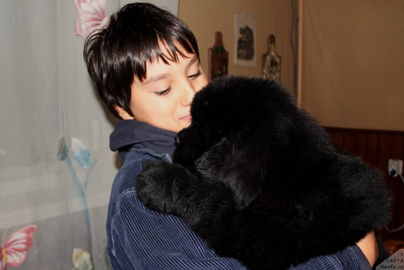 Фото: Valeur Absolue Dinastiya Soverchenstva  и Артем