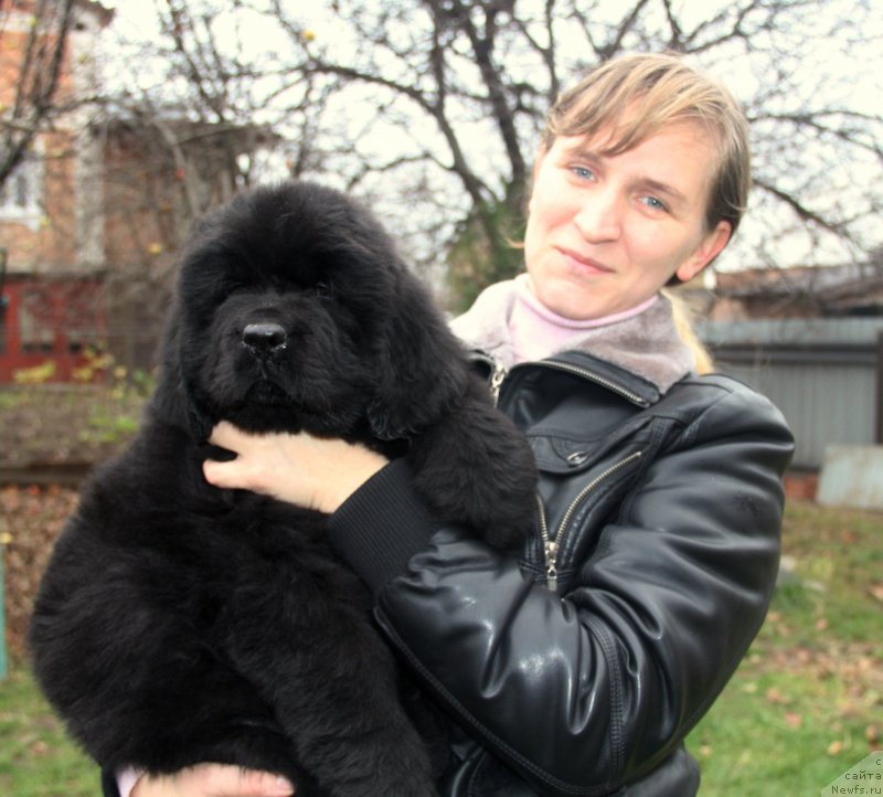 Фотография № 138989