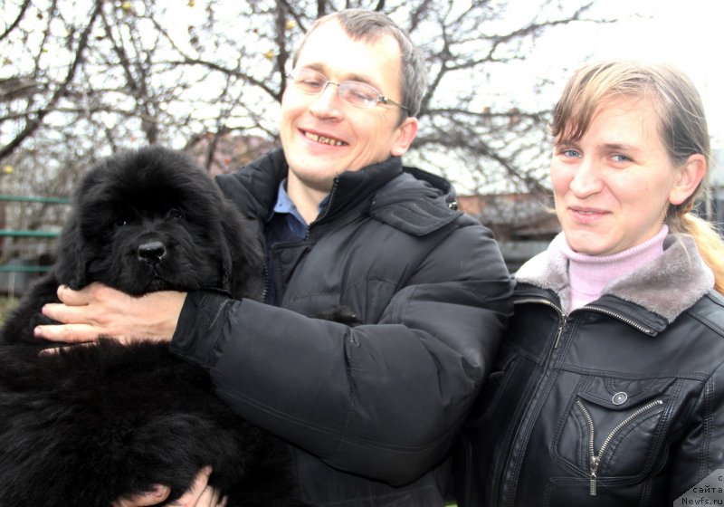 Фото: Антонина Ефименко, ньюфаундленд Vivienne Westwood Dinastiya Soverchenstva