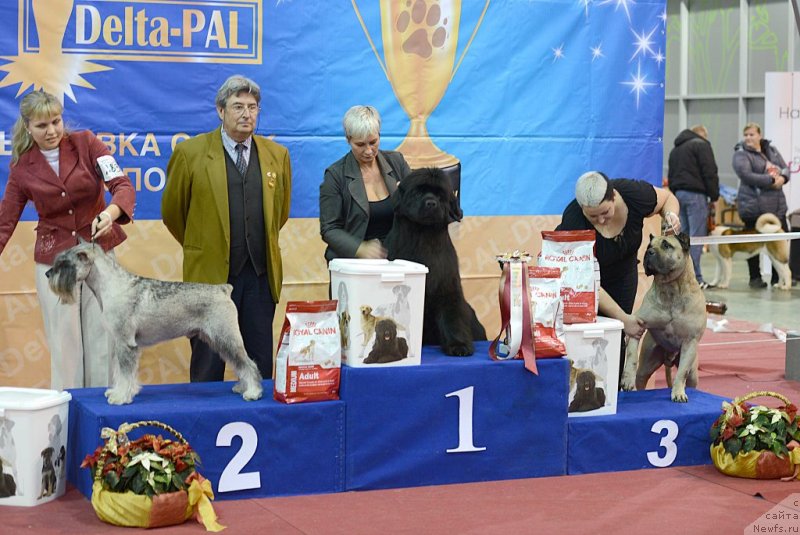 Фотография № 138992