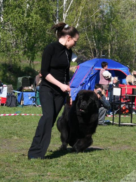 Фотография № 13900