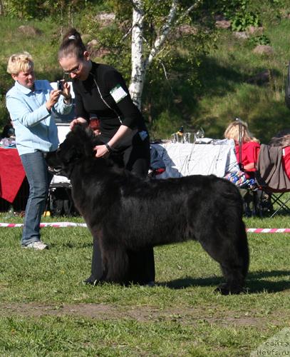 Фотография № 13901