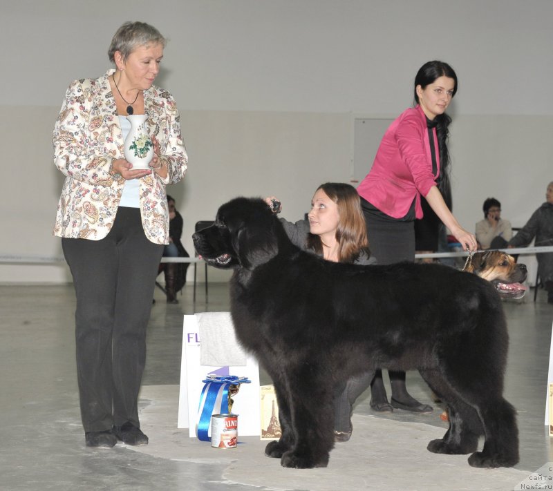 Фотография № 139045