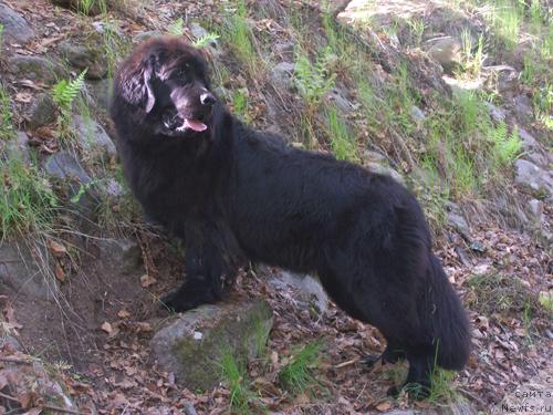 Фотография № 13906