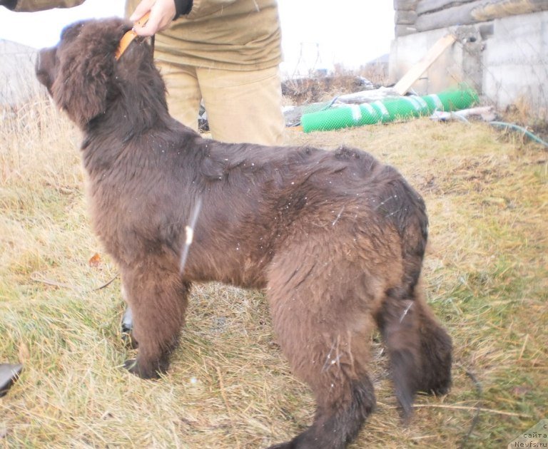 Фото: Владелец, Ольга Милицына
