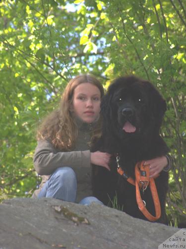 Фотография № 13908